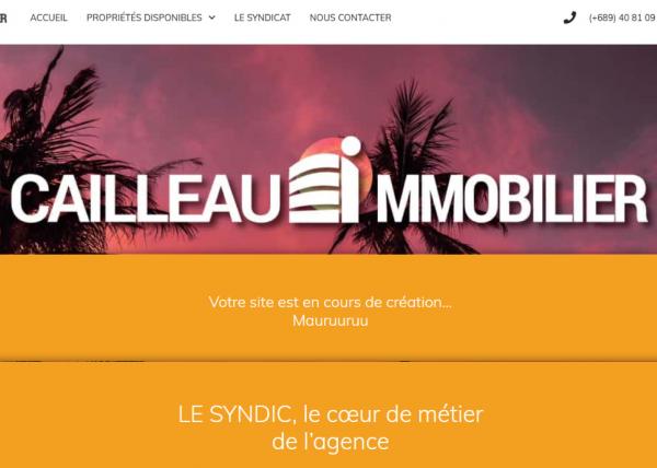 Site web - Cailleau-immobilier